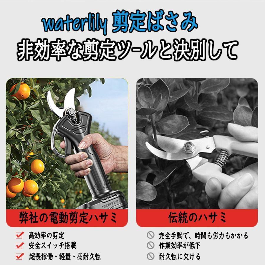 2025 剪定ばさみ 充電式 高枝切り マキタ バッテリー互換 200cm延長ポール 電動剪定ハサミ ブラシレスモーター 枝切り 軽量 電池残量表示 果樹用 家庭用 女性用 |  | 07