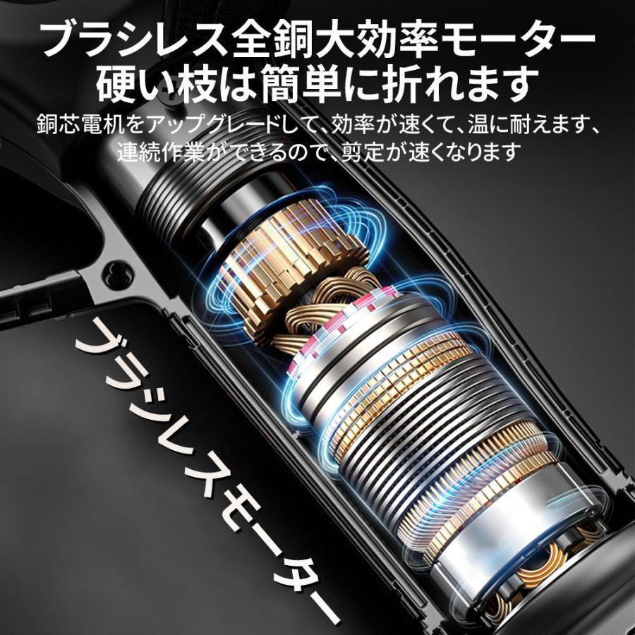 2025 剪定ばさみ 充電式 高枝切り マキタ バッテリー互換 200cm延長ポール 電動剪定ハサミ ブラシレスモーター 枝切り 軽量 電池残量表示 果樹用 家庭用 女性用 |  | 10