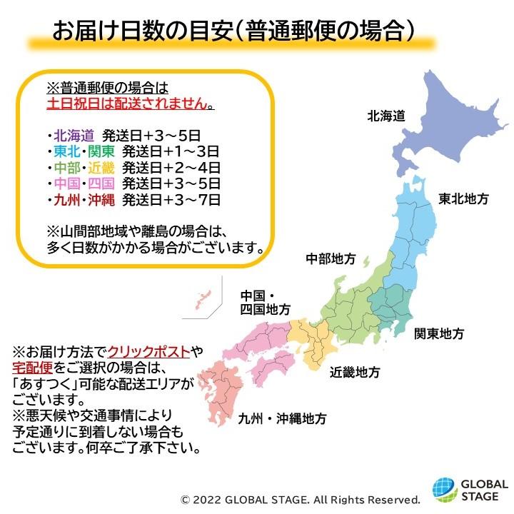 ニンテンドー New 3DS LL用タッチペン 選べる同色2本セット 互換