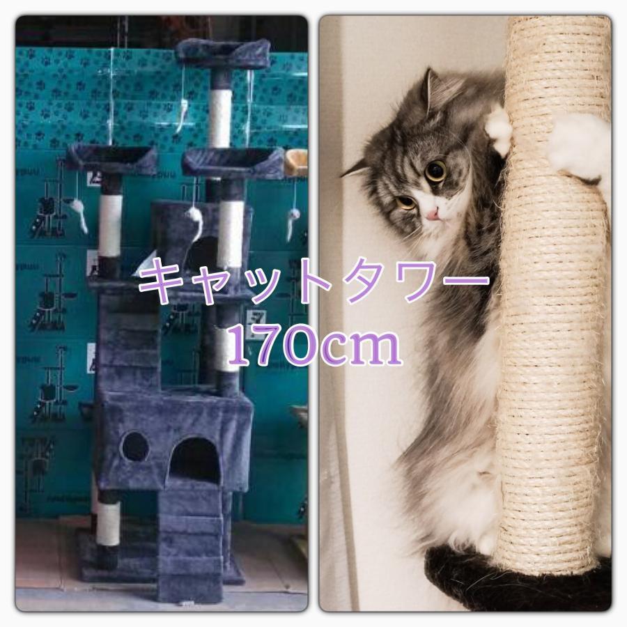 キャットタワー 170cm 猫タワー ワイド 据え置き型 : グロバット キャットタワー 170cm 猫タワー ワイド 据え置き型 : グロバット