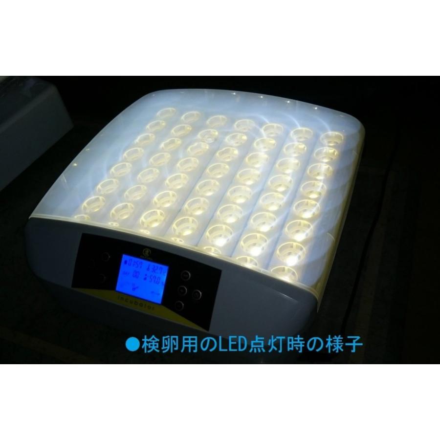 孵化器MATG-LED-56 自動転卵　温湿度アラーム　キャンドリング機能付孵卵器　うずら　ふ孵器　ふ卵器_3