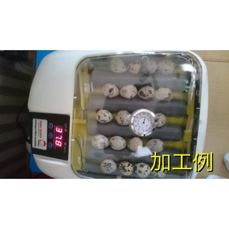 小型自動孵卵器（ふ卵器・孵化器）AC電源　自動転卵式　インキュベーター　温湿度デジタル表示　うずら｜globatt-ej｜06