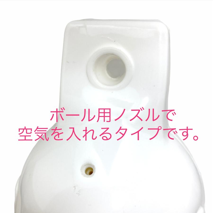 ボートフェンダーG4 ４個セット 216x686mm アイ径19mm ロープx4 空気入れx1付きの画像