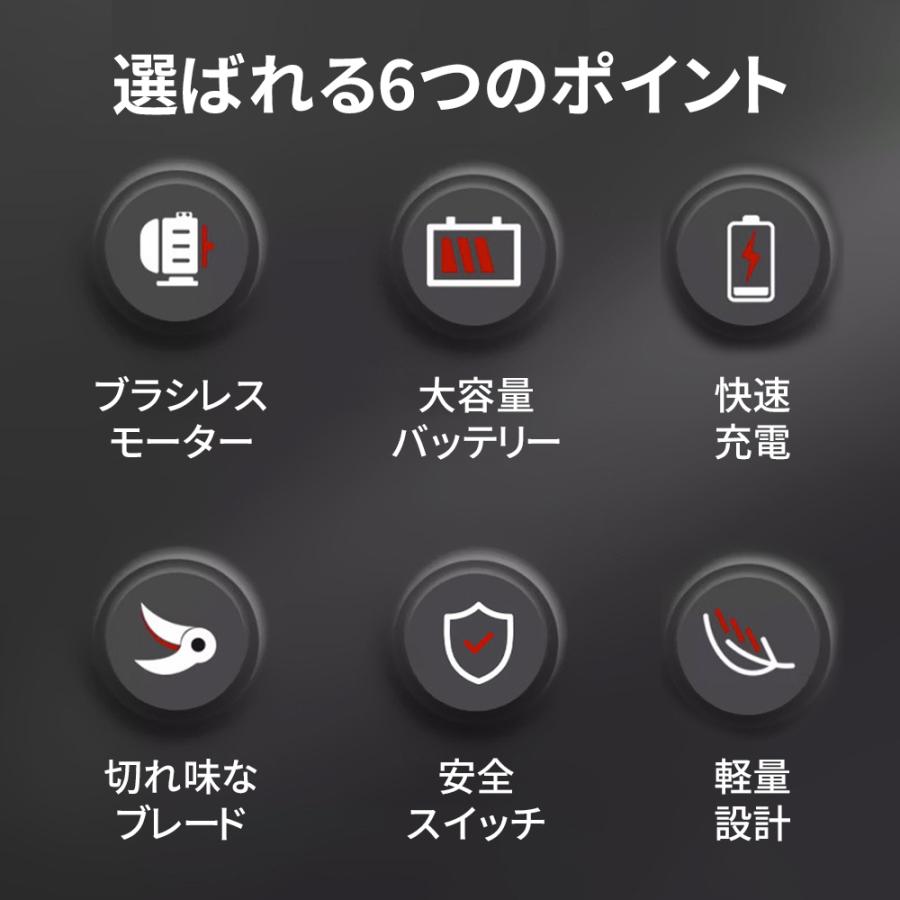 2025 剪定ばさみ 充電式 高枝切り マキタ バッテリー互換 200cm延長ポール 電動剪定ハサミ ブラシレスモーター 枝切り 軽量 電池残量表示 果樹用 家庭用 女性用 |  | 05