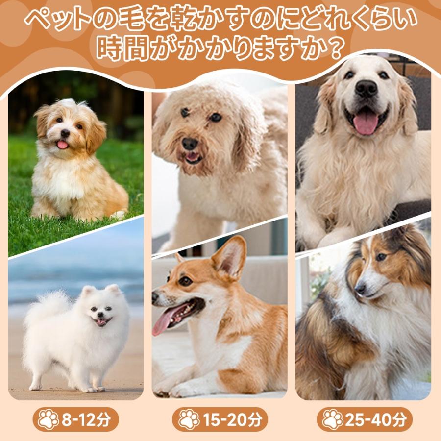 正規品 ペット用ドライヤー 犬用ドライヤー  強力風量 温度調節 4つノズル付き ホース 安全保護機能 静音 犬猫対応 温度調整  大風量 乾燥機 業務用 犬 ブロワー |  | 03