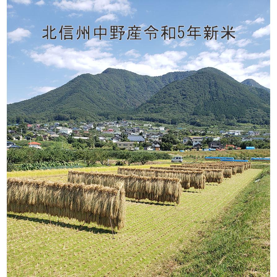 家族農園から直送 数量限定 はぜかけ米 令和3年 新米 5kg 精米 北信州中野産 高社山麓 自然乾燥 天日乾燥 天日干し 安全 安心 こしひかり Haze 05 Gloriaヤフーショップ 通販 Yahoo ショッピング
