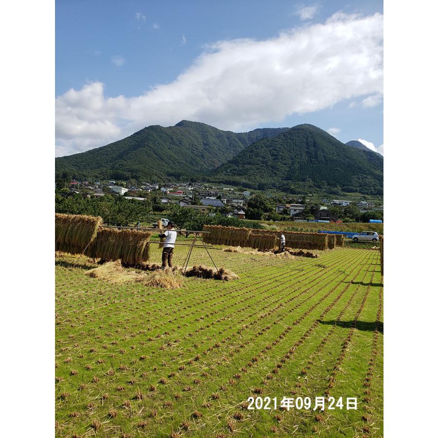 家族農園から直送 数量限定 はぜかけ米 令和3年 新米 10kg 精米 北信州中野産 高社山麓 自然乾燥 天日乾燥 天日干し 安全 安心 こしひかり Haze 10 Gloriaヤフーショップ 通販 Yahoo ショッピング