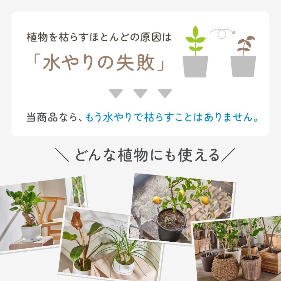 水茎　8冊セット 水やりチェッカー sustee 土壌水分計 サスティー 水分計 水やり 植物 L