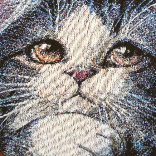 猫のマルチカバー ブランケット ネコ天使 ラファエル・エンジェル 