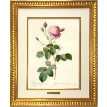 ルドゥーテ バラ複製画（大）レ・ローズ バラ図譜 銘木調の額付き ルドゥーテ バラ複製画（大）レ・ローズ バラ図譜 銘木調の額