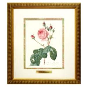 額絵 縮小版 ルドゥーテ レ・ローズ シリーズ 絵画 全4種類