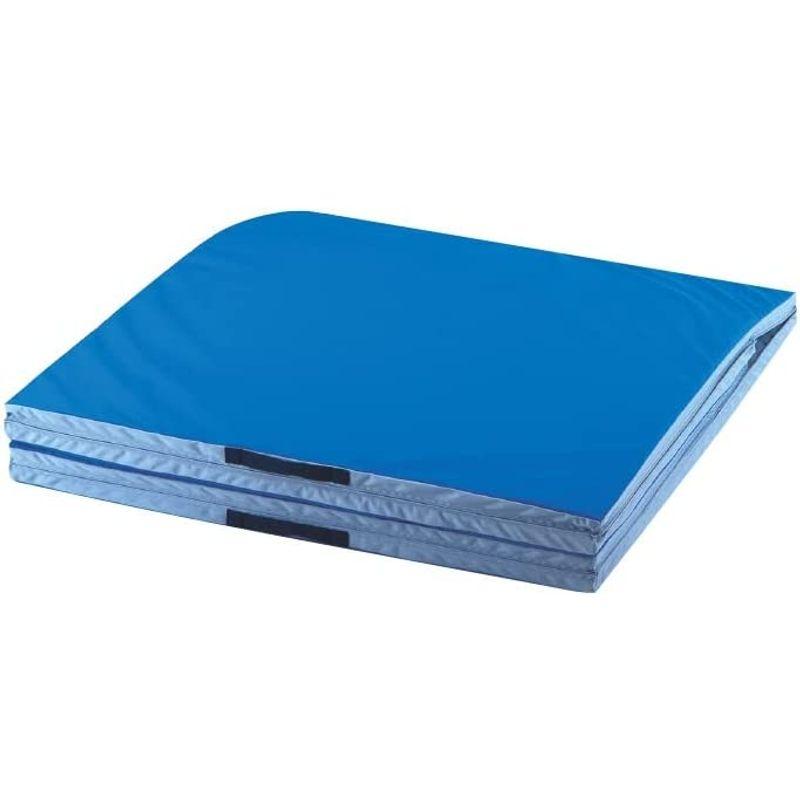 即購入可★ エバニュー(EVERNEW) 立ち幅跳び測定マット? 100×330×3 EKJ099 【LWH1384716123】(48840円)