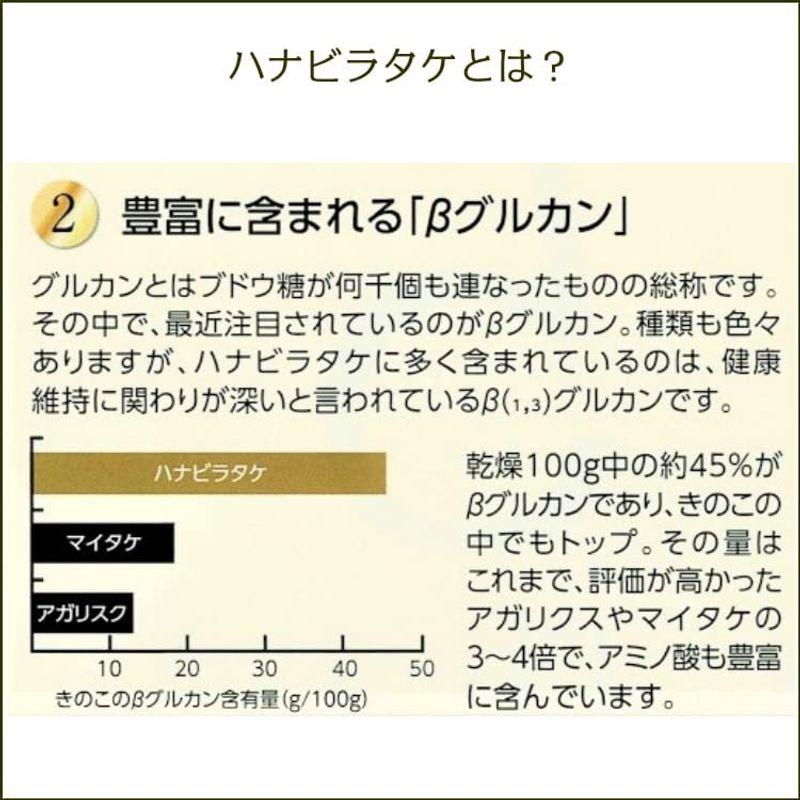 健康食品 3周年記念キャンペーン定価20，080円再々値下げ植物性乳酸発酵ハナビラタケ Ｘ5 120カプセル掛布雅之氏愛用 