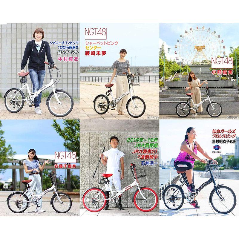 自転車 GRAPHIS (グラフィス) GR-FD 折りたたみ自転車 20インチ シマノ 