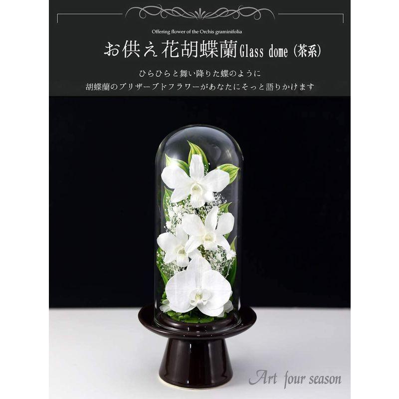 限定品 プリザーブドフラワー アートフォーシーズン 茶系胡蝶蘭Glass ホワイト 【2140403981】(10725円)