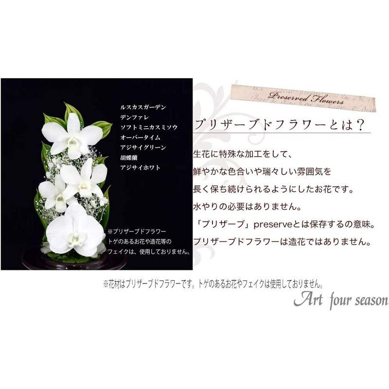 限定品 プリザーブドフラワー アートフォーシーズン 茶系胡蝶蘭Glass ホワイト 【2140403981】(10725円)