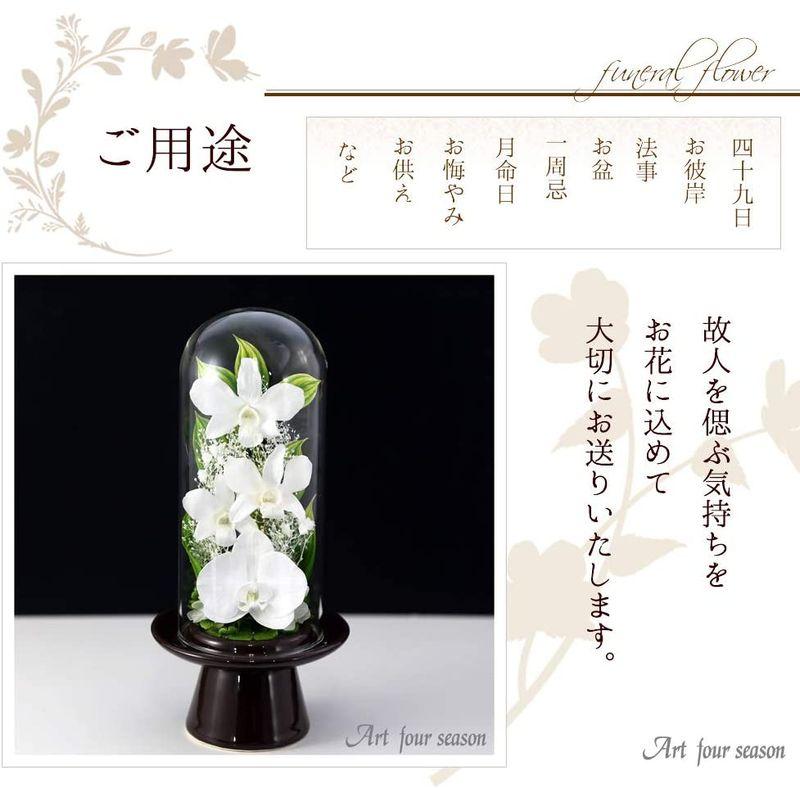 限定品 プリザーブドフラワー アートフォーシーズン 茶系胡蝶蘭Glass ホワイト 【2140403981】(10725円)