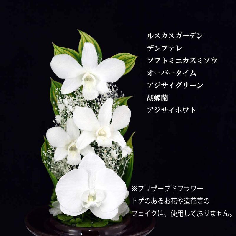 限定品 プリザーブドフラワー アートフォーシーズン 茶系胡蝶蘭Glass ホワイト 【2140403981】(10725円)