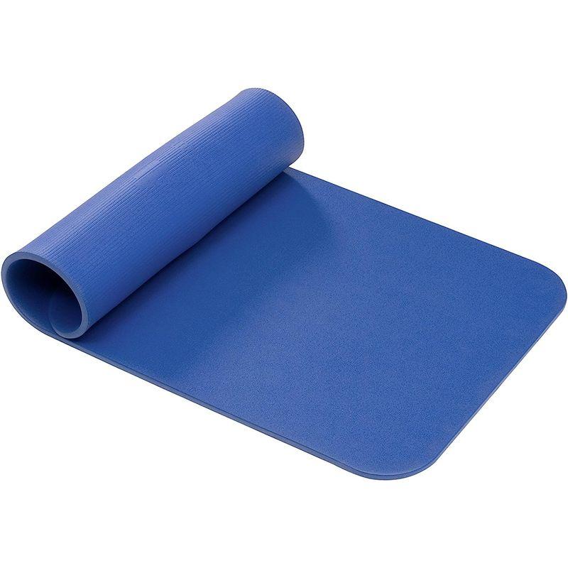 AIREX(エアレックス) トレーニングマット フィットネス120 厚さ15mm ブルー FITNESSBL BLUE 120 FITNES エアレックス トレーニングマット フィットネス120 厚さ15mm ブルー FITNESSBL BLUE FITNES