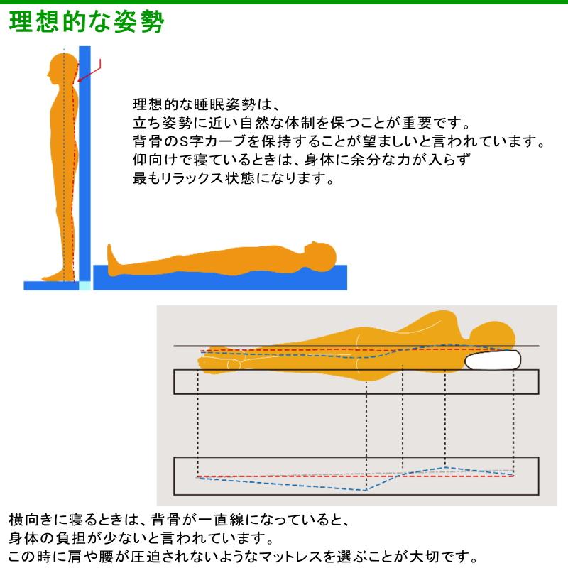 ラテックス 体感パッド 高反発 アウトドア キャンプ 登山 マット クッション｜glorydays-babymoon｜12