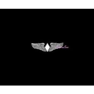 ピンバッジ USAF Wasp Wings + a custom promo pin