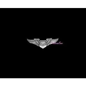 ピンバッジ USAF Navigator Wings + a custom promo pin