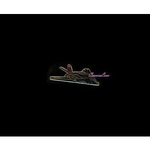 ピンバッジ F-117 (color) Pins + a custom promo pin