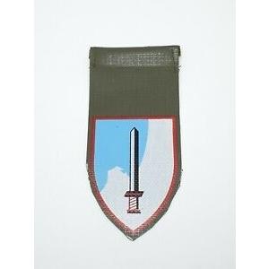 ピンバッジ ISRAEL IDF ARMY UNIT TAG PATCH PIN BADGE INSIGNIA