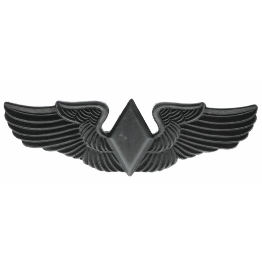 ピンバッジ WASP Women Air Force Antique Silver Style Wings 2 3/4 inch Pin H16157