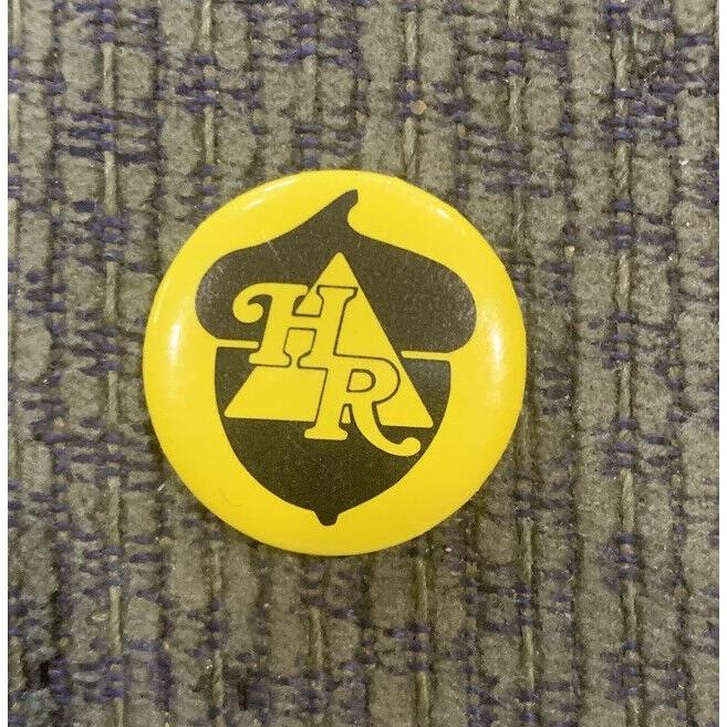 ピンバッジ Older Boy Scout BSA Heritage Scout Reservation Pin Yellow usdm