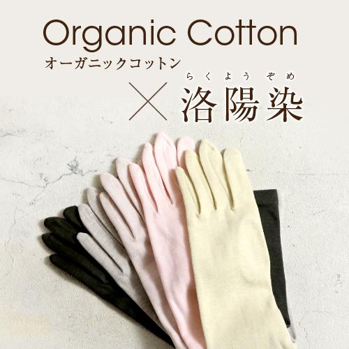 Uv アームカバー おしゃれ レディース セミロング 夏用 日焼け防止 Uv