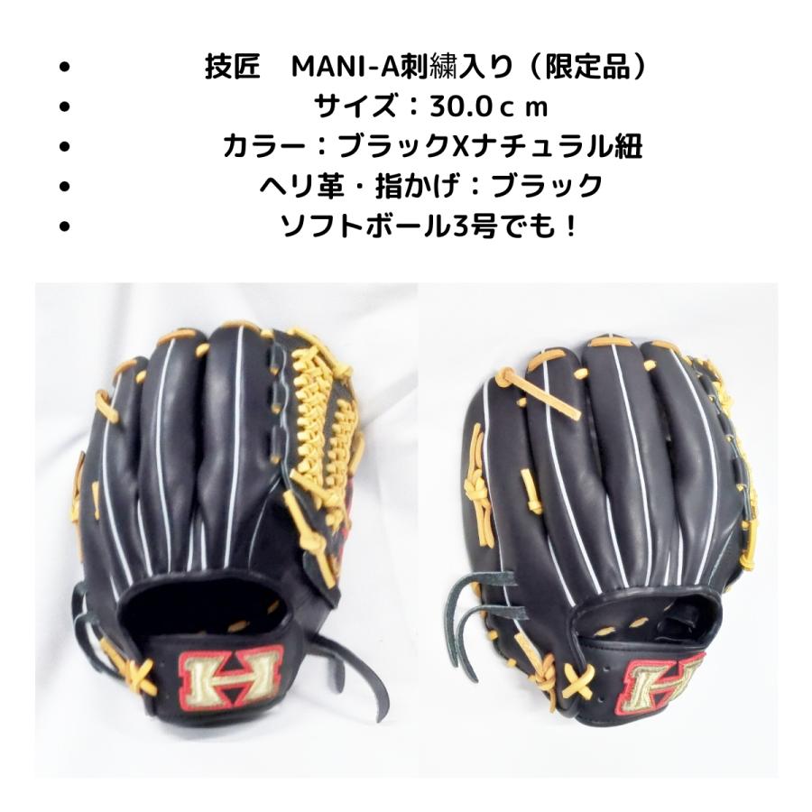 HI-GOLD ハイゴールド 軟式グラブ オールラウンド用 限定品 ブラック