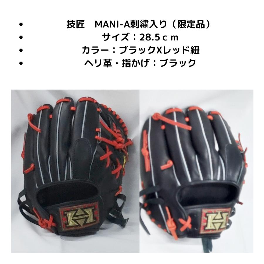 ハイゴールド　軟式グローブ　リミテッド ハイゴールド 軟式グローブ リミテッド HI-GOLD(ハイゴールド
