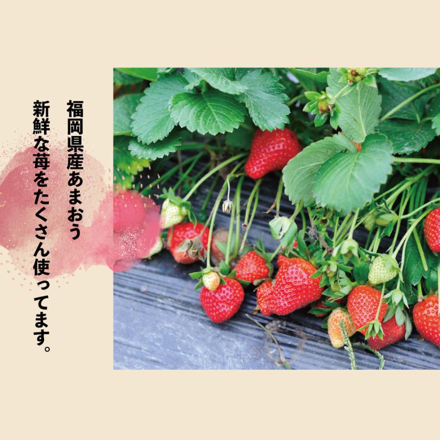 グルテンフリー あまおう苺 チーズケーキ 超濃厚 ストロベリーケーキ 小麦粉不使用 白砂糖不使用 冷凍スイーツ 誕生日ギフト グルフリッチ |  | 06