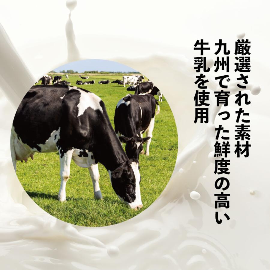 グルテンフリー あまおう苺 チーズケーキ 超濃厚 ストロベリーケーキ 小麦粉不使用 白砂糖不使用 冷凍スイーツ 誕生日ギフト グルフリッチ |  | 07