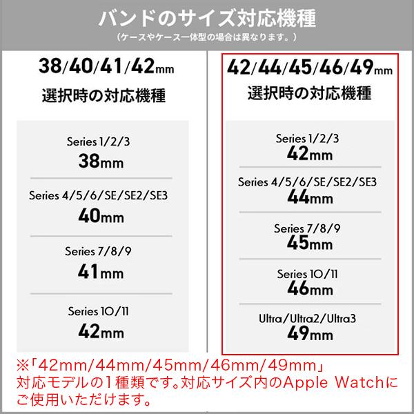 アップルウォッチ Apple Watch クラシックマグネットチタンバンド BELTIES ベルティーズ バンドの画像