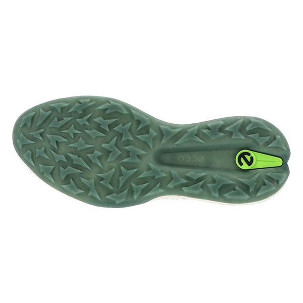 ecco（エコー） 【訳あり】ecco ECCO GOLF BIOM H5 バイオム ゴルフ
