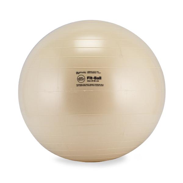 【並行輸入品】 バランスボール ギムニク Gymnic 65cm フィットボール 65 アンチバースト 95.06 体幹 トレーニング | GYMNIC | 01
