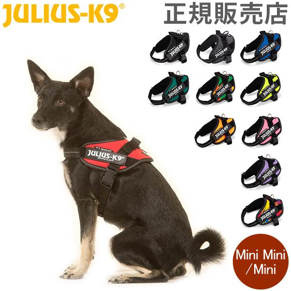 日時指定 ユリウスケーナイン Julius-K9 IDC パワーハーネス 超激安 小型犬 Mini ハーネス 中型犬 犬用