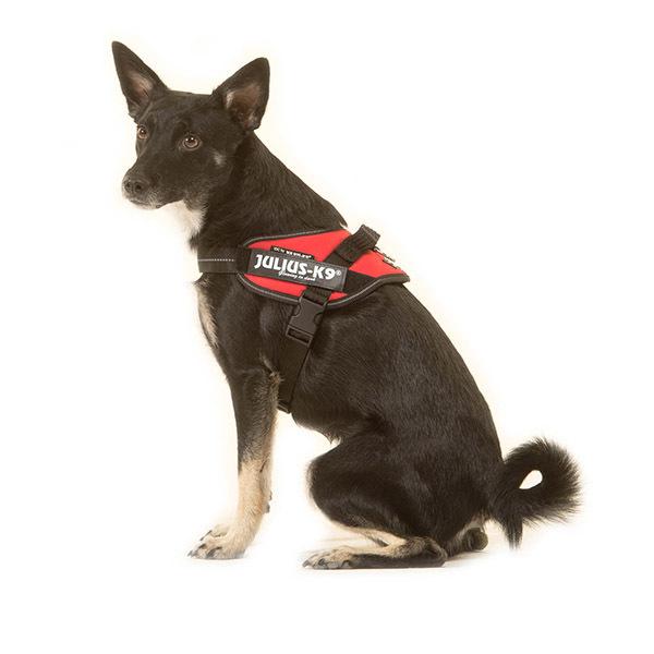 ユリウスケーナイン Julius K9 Idc パワーハーネス 小型犬 中型犬 Mini Mini Mini 犬用 ハーネス Jus 91 Gulliveronlineshopping Yahoo 店 通販 Yahoo ショッピング