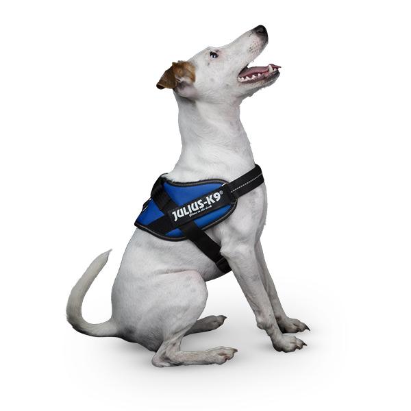 JULIUS-K9 ユリウスケーナイン Julius-K9 IDC パワーハーネス JULIUS-K9 ユリウスケーナイン Julius-K9 IDC パワーハーネス