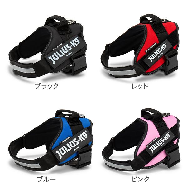 JULIUS-K9（ユリウスケーナイン） 【並行輸入品】 Julius-K9 IDC