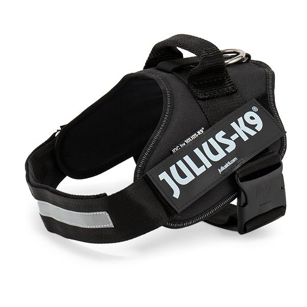 JULIUS-K9（ユリウスケーナイン） 【並行輸入品】 Julius-K9 IDC