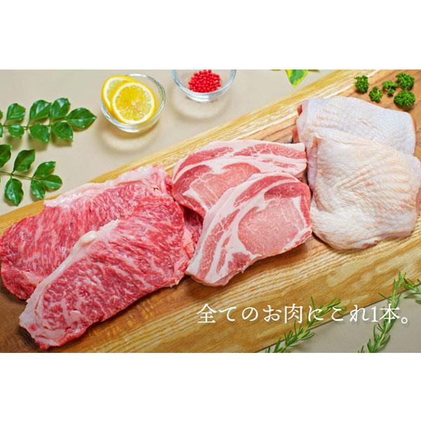 お肉専用スパイス 七代目こばやし 肉のコバヤシ 全てのお肉にこれ1本 調味料 ステーキ 肉 魚 野菜 BBQ｜glv｜05