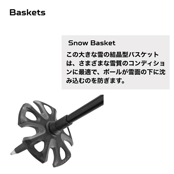 LEKI（レキ） 【並行輸入品】 ポール アルペンスキー 653472011 Alpine