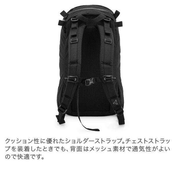 MYSTERY RANCH（ミステリーランチ） 【並行輸入品】 バックパック 21L
