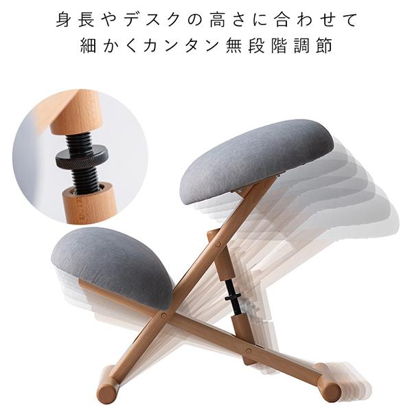 宮武製作所 Miyatake 椅子 プロポーションチェア SOLA（ソラ） 姿勢サポートチェアの画像