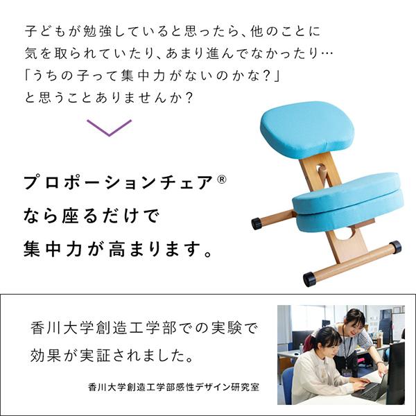 宮武製作所 学習椅子 バランスチェア クッション付きプロポーション