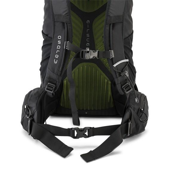 月初限定ポイントUP 【並行輸入品】 オスプレー Osprey バックパック ケストレル 48 ザック リュックサック アウトドア | OSPREY | 17