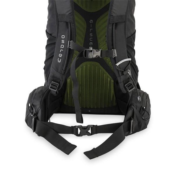 月末限定ポイントUP 【並行輸入品】 オスプレー Osprey バックパック ケストレル 38 ザック リュックサック アウトドア | OSPREY | 17